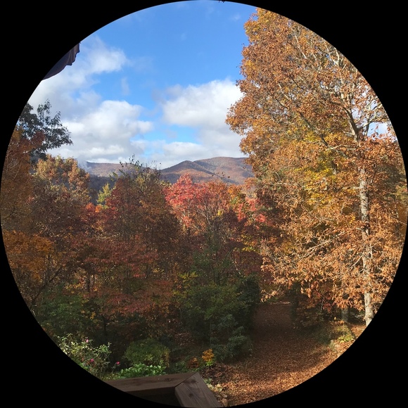 Meet your Posher, Adam - Picture 1 of 1